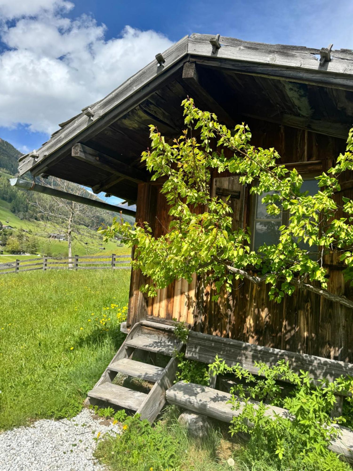 Haus Ilmer Нойштіфт-ім-Штубайталь Екстер'єр фото